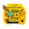 Black Eyed Susan Seeds for Planting – 5,000 Non-GMO Heirloom Seeds for Gorgeous Black Eyed Susan Flowers