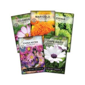 Annual Flower Seed Collection by Sow Right Seeds – 5-Pack Variety with Marigold, Zinnia, China Aster, Cape Daisy, and Cosmos – Perfect for Pots, Raised Beds, and Outdoor Gardens