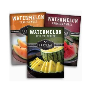 Survival Garden Seeds Tri-Color Watermelon Collection – 3 Packs of Non-GMO Heirloom Fruit Seeds for Growing Yellow Petite, Crimson Sweet (Red), and Tendersweet Orange Watermelons